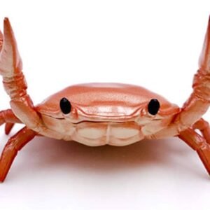 CUTE CRAB - Image 1