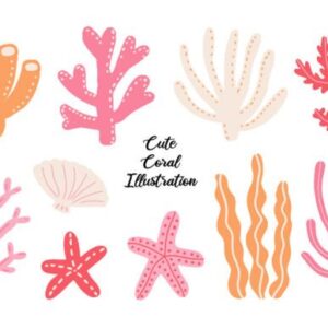 CORAL STARFISH SEAWEED DÉCOR - Image 1