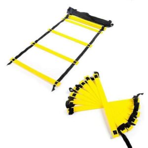 5M 10-SECTION AGILE LADDER - Image 1
