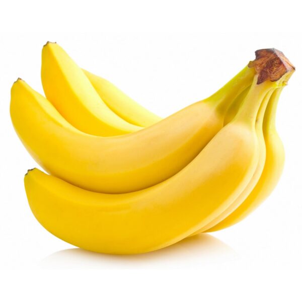 72b7742f-7554-4847-aa81-aa6a4ae2bb2b