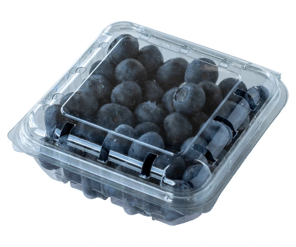 BLUE BERRY PP BOX