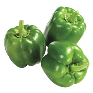 CAPSICUM GREEN - Image 1