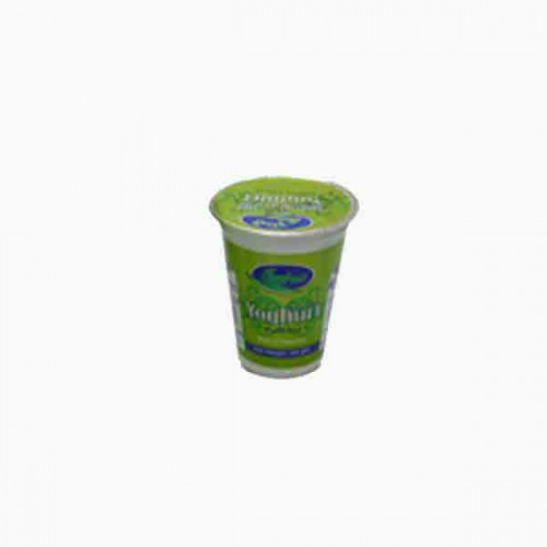 FRESHCO YOGHURT FF 100GM